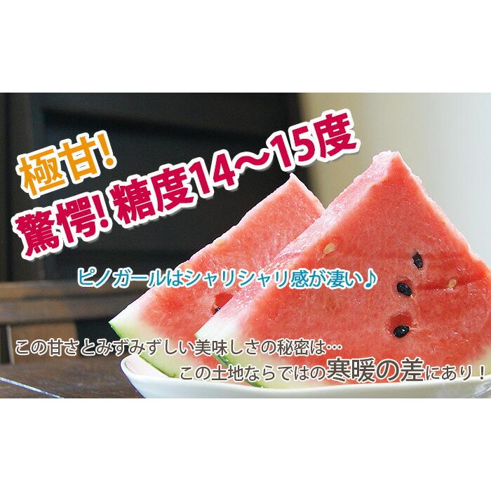 小玉スイカ 山形 送料無料 【 ピノガール 秀3L 3玉入り 】 尾花沢