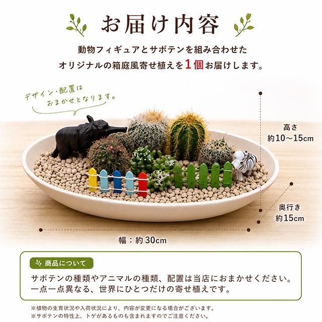 サボテン 寄せ植え 動物の箱庭 ミニガーデン 多肉植物 ギフト