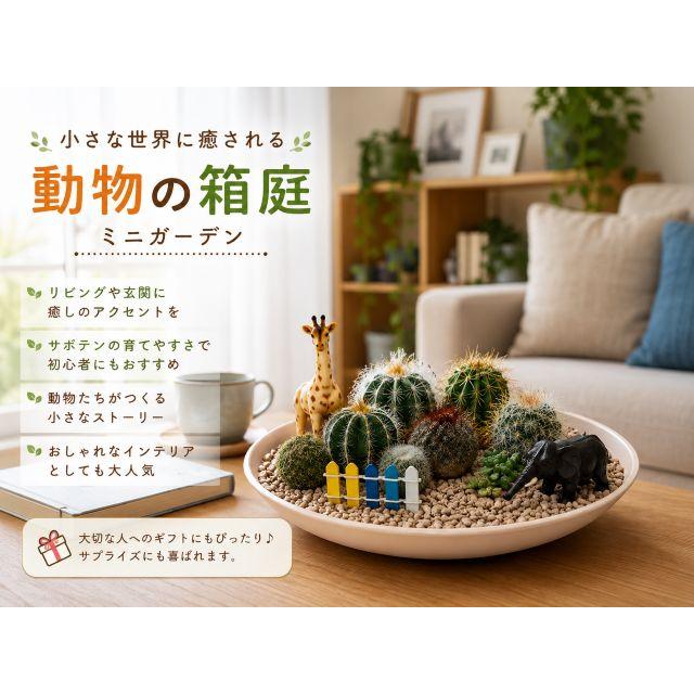サボテン寄せ植え★箱庭★長く飾れます サボテン 寄せ植え 動物の箱庭 ミニガーデン 多肉植物 ギフト