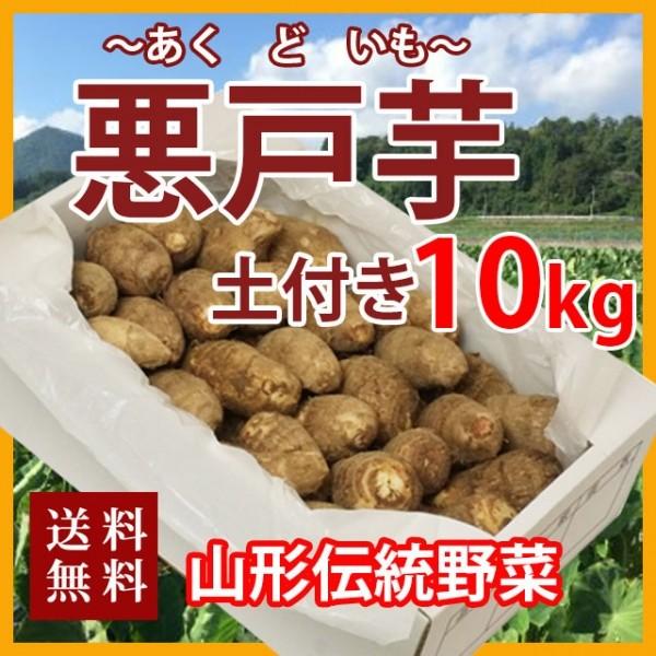 楽天ランキング1位 里芋 悪戸芋 あくど芋 10kg 山形 サトイモ さといも 土芋 土付き 皮付き 種芋 送料無料 芋煮会 収穫 旬 日本産 Blog Lonolife Com