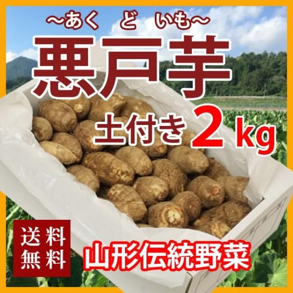 里芋 悪戸芋 あくど芋 ２kg 山形 サトイモ さといも 土芋 土付き 皮付き 種芋 送料無料 芋煮会 収穫 旬 Satoimo Akudo Tuti2k 花ギフト山形産果物野菜花樹有 通販 Yahoo ショッピング