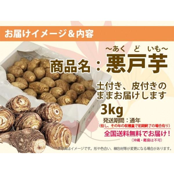1695円 もらって嬉しい出産祝い 里芋 悪戸芋 あくど芋 ３kg 山形 サトイモ さといも 土芋 土付き 皮付き 種芋 送料無料 芋煮会 収穫 旬