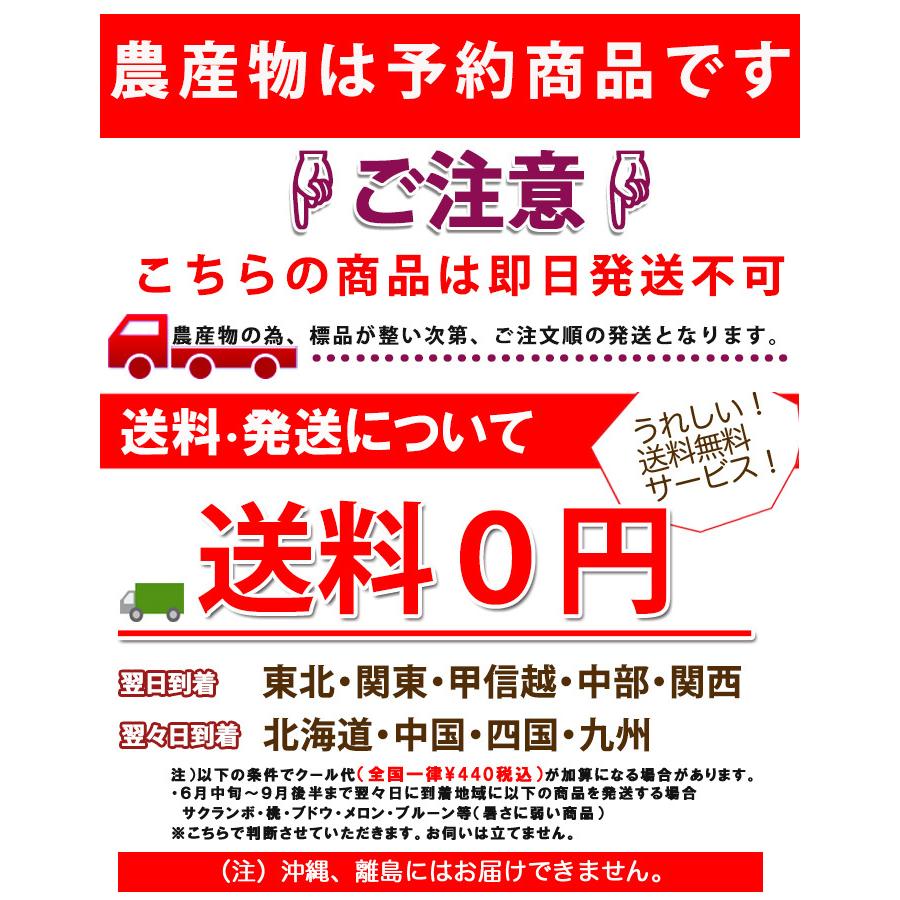さくらんぼ 紅秀峰 送料無料 サクランボ 山形 大粒 秀2L (BS-008) 手詰め 500g 贈答用 ギフト 父の日 佐藤N 山形産 農家直送|kajuaru|05
