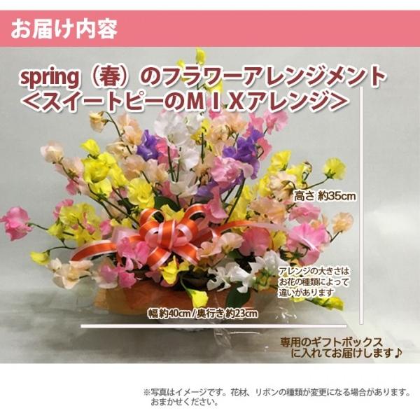 スイートピー オシャレ MIX フラワーアレンジメント 大 誕生日 送料