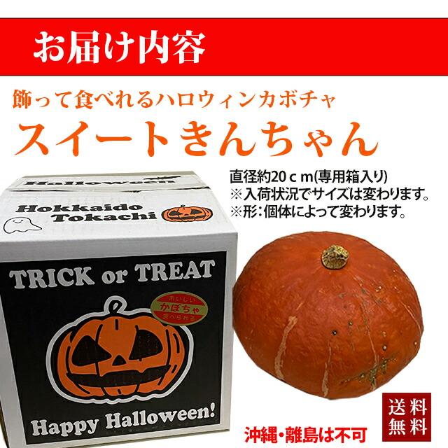 ハロウィン 食べれる かぼちゃ カボチャ 生かぼちゃ 【 スイートきん