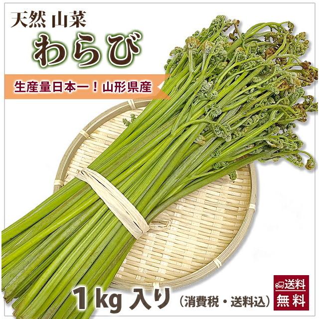 山形県産 山菜 天然わらび 蕨 生ワラビ 生わらび 1kg 送料無料 天然