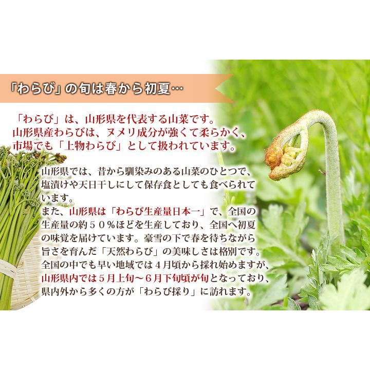山形県産 山菜 天然わらび 蕨 生ワラビ 生わらび 10kg 送料無料 天然
