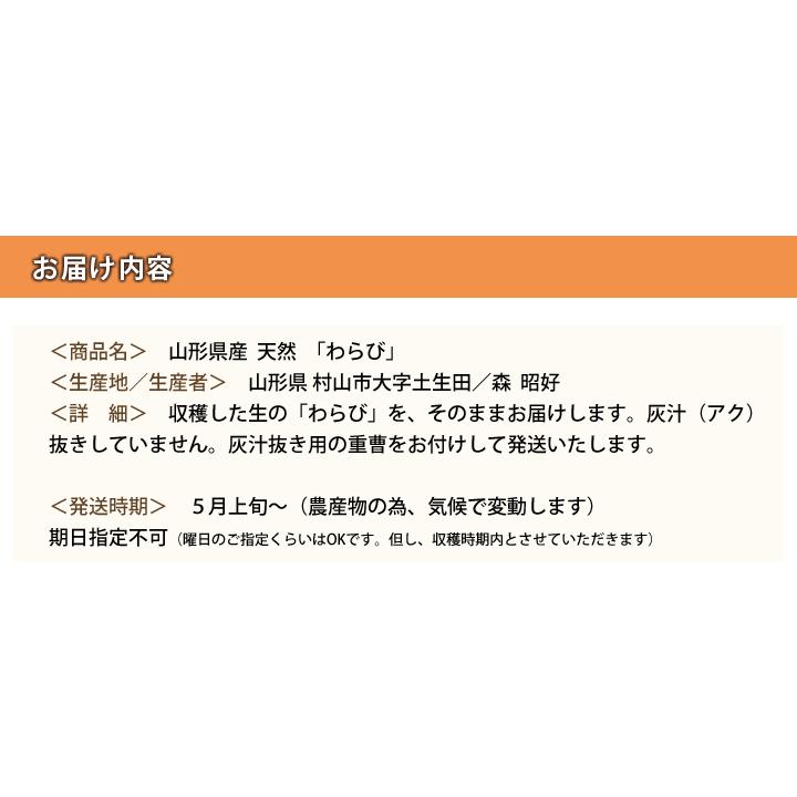 山形県産 山菜 天然わらび 蕨 生ワラビ 生わらび 10kg 送料無料 天然
