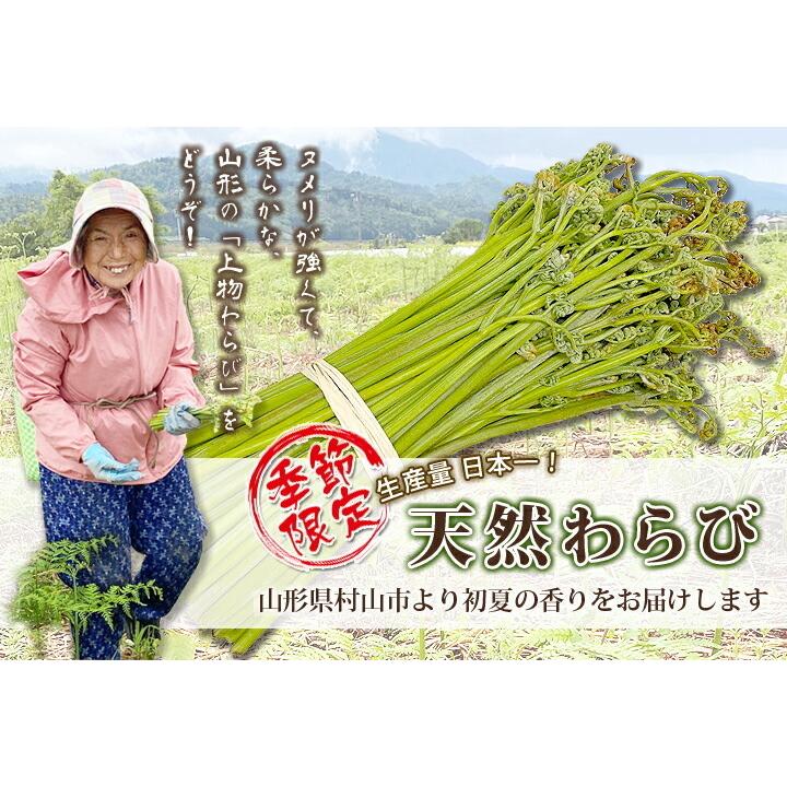 山形県産 山菜 天然わらび 蕨 2kg 送料無料 天然 村山市 山形 ワラビ ワラビの採れる場所 漢字 レシピ ぜんまい 栄養 農産物の画像