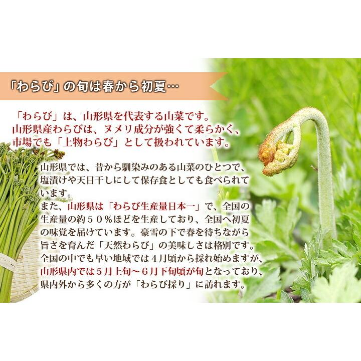 山形県産 山菜 天然わらび 蕨 2kg 送料無料 天然 村山市 山形 ワラビ ワラビの採れる場所 漢字 レシピ ぜんまい 栄養 農産物の画像