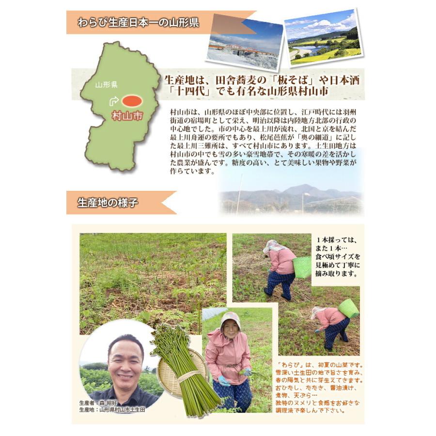 山形県産 山菜 天然わらび 蕨 2kg 送料無料 天然 村山市 山形 ワラビ ワラビの採れる場所 漢字 レシピ ぜんまい 栄養 農産物の画像
