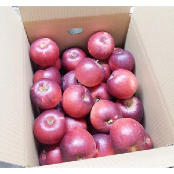 サンふじ 家庭用 訳あり Lサイズ 10kg 32〜36玉入り 和合平 葉取らず