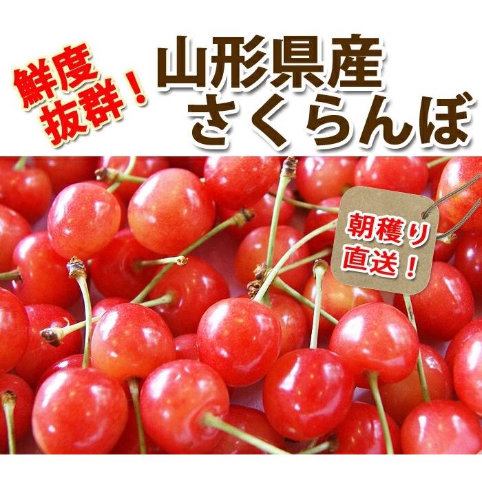 さくらんぼ 2027年 やまがた紅王 秀 2L バラ詰め 700g y3b 丸勘 山形