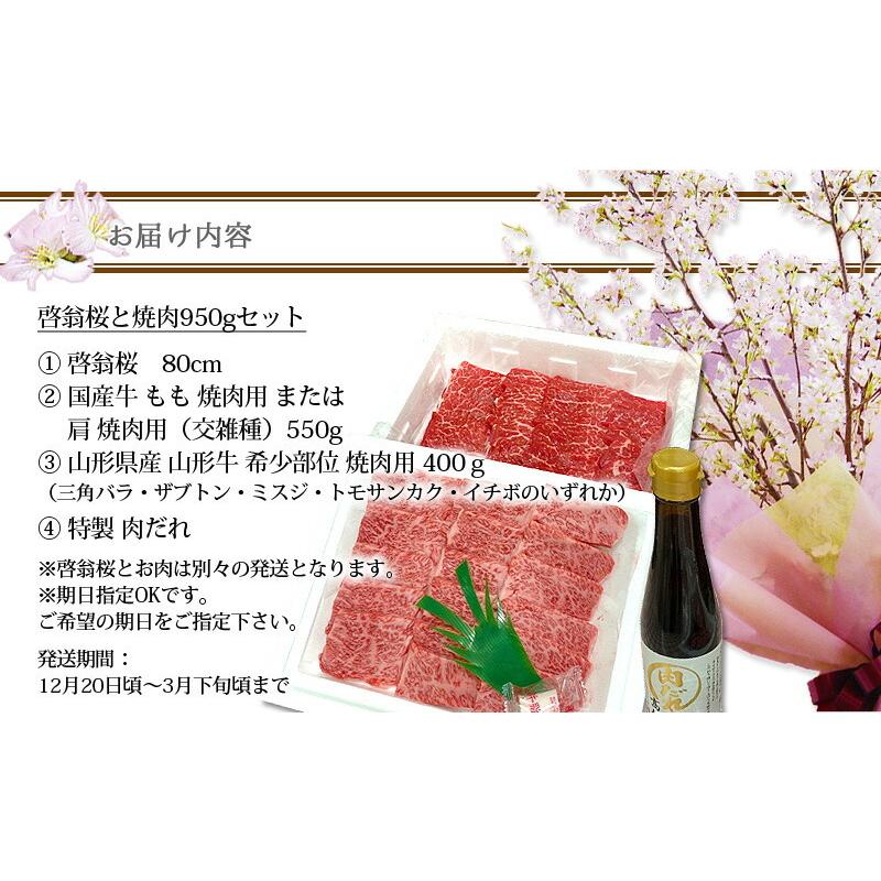 送料無料 啓翁桜 80cm 焼肉 950g セット 山形牛 国産牛 誕生日 卒業 送別 ひな祭り 桃の節句 花束プレゼント 花ギフトの画像