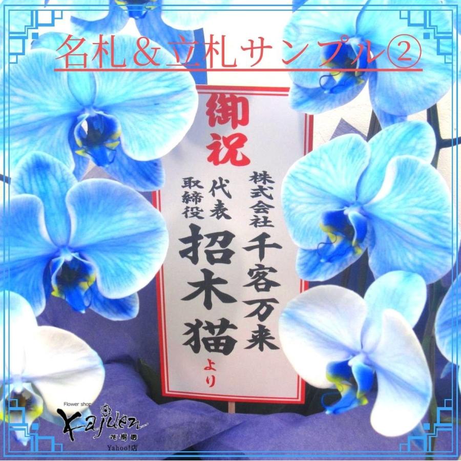 青い胡蝶蘭 お祝い 誕生日 ギフト 花 通販 ブルーエレガンス 3本 青い胡蝶蘭 お祝い 誕生日 ギフト 花 通販 ブルーエレガンス 3本