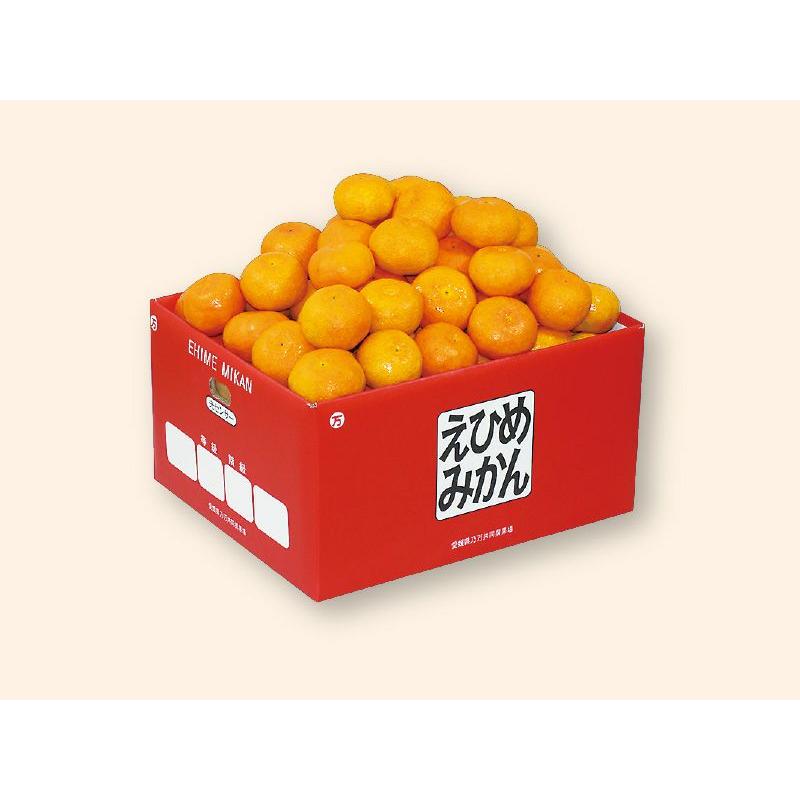 みかん 愛媛みかん9kg-小粒っ子 : のま果樹園 - 通販 - Yahoo!ショッピング