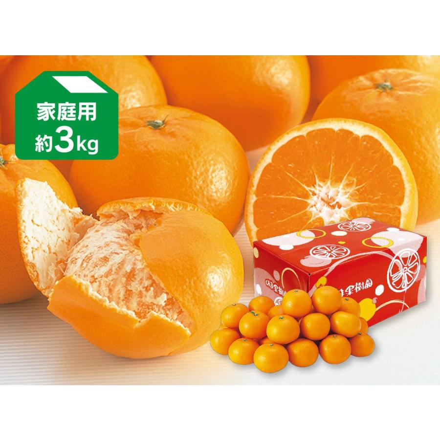 みかん　はれひめ3kg-家庭用｜のま果樹園