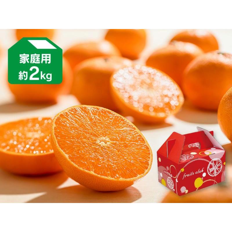 みかん 露地せとか約2kg-家庭用 : のま果樹園 - 通販 - Yahoo!ショッピング