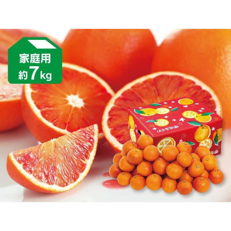 人気ブレゼント 愛媛産ブラッドオレンジ 約7kg Wantannas Go Id