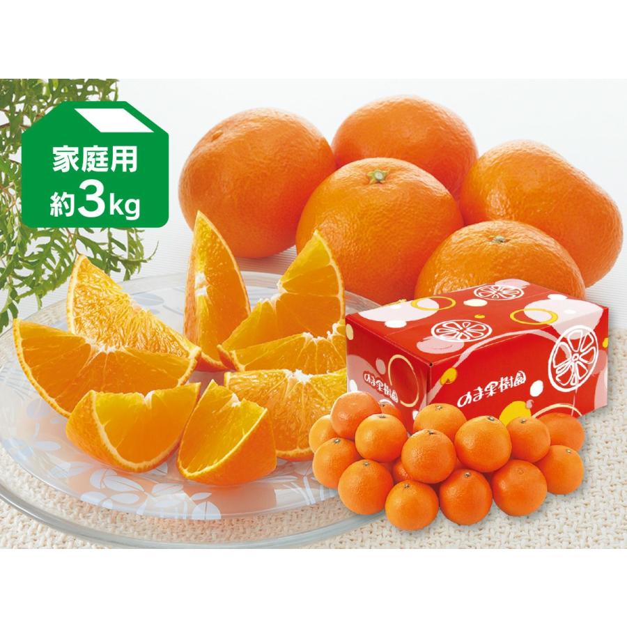 媛まどんな約3kg-家庭用/愛媛果試第28号・紅まどんなと同品種 : のま