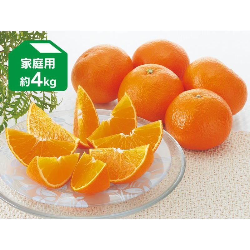 愛果28号(紅まどんな同品種)正味4kg　L〜4Lサイズ×2箱 愛果28号(紅まどんな同品種)正味4kg L〜4Lサイズ×2箱 2025年発送＞紅ま