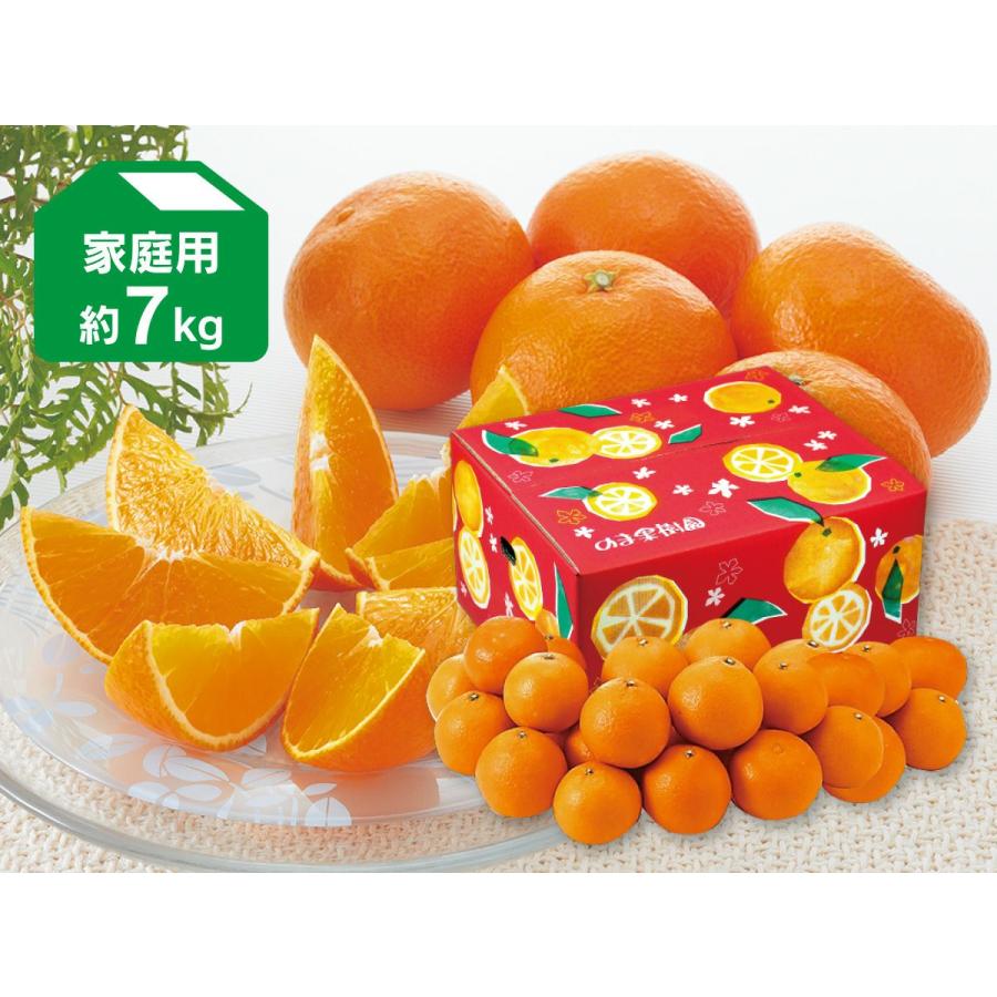 媛まどんな約7kg-家庭用/愛媛果試第28号・紅まどんなと同品種 : のま