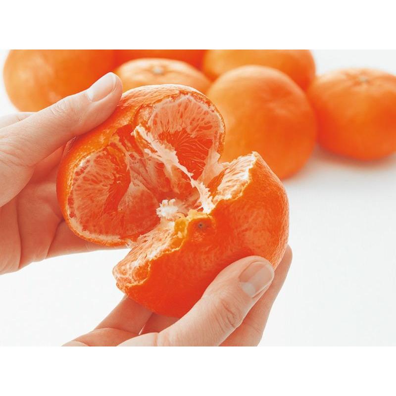 みかん 甘平（かんぺい）約2kg-家庭用 : のま果樹園 - 通販 - Yahoo