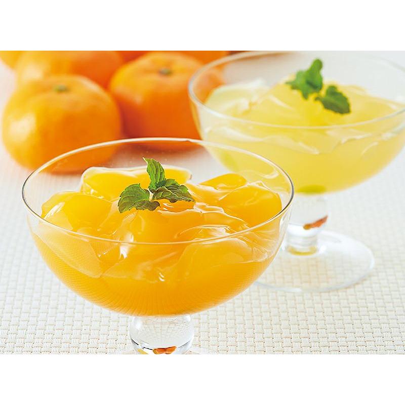 飲むゼリー　プレミアム味くらべゼリー8種類セット（柑橘の雫・おまかせ各1個）