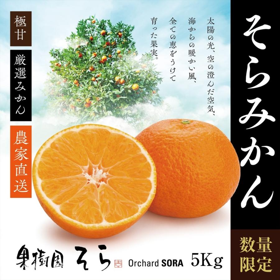 そらみかん【天空の農園】5kg :kajuensora-104:果樹園そら - 通販 - Yahoo!ショッピング そらみかん【天空の農園】5kg :kajuensora-104:果樹園そら - 通販 - Yahoo!ショッピング