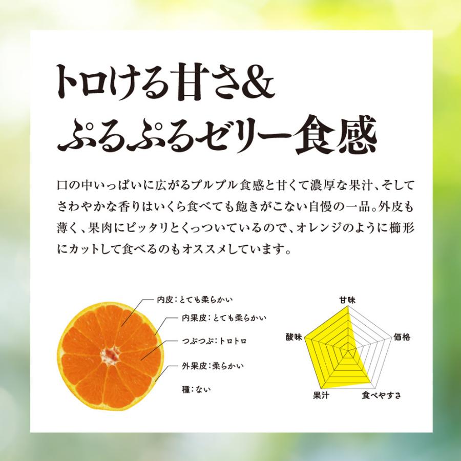 そらまどんな【天空の農園/訳あり】3kg :soramadonna-109:果樹園そら - 通販 - Yahoo!ショッピング そらまどんな【天空の農園/訳あり】3kg :soramadonna-109:果樹園そら - 通販 - Yahoo!ショッピング