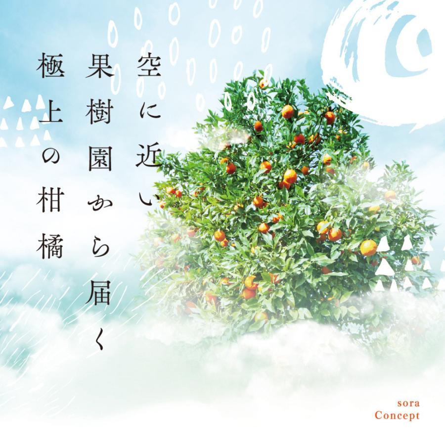 そらまどんな【天空の農園/訳あり】3kg :soramadonna-109:果樹園そら - 通販 - Yahoo!ショッピング そらまどんな【天空の農園/訳あり】3kg :soramadonna-109:果樹園そら - 通販 - Yahoo!ショッピング