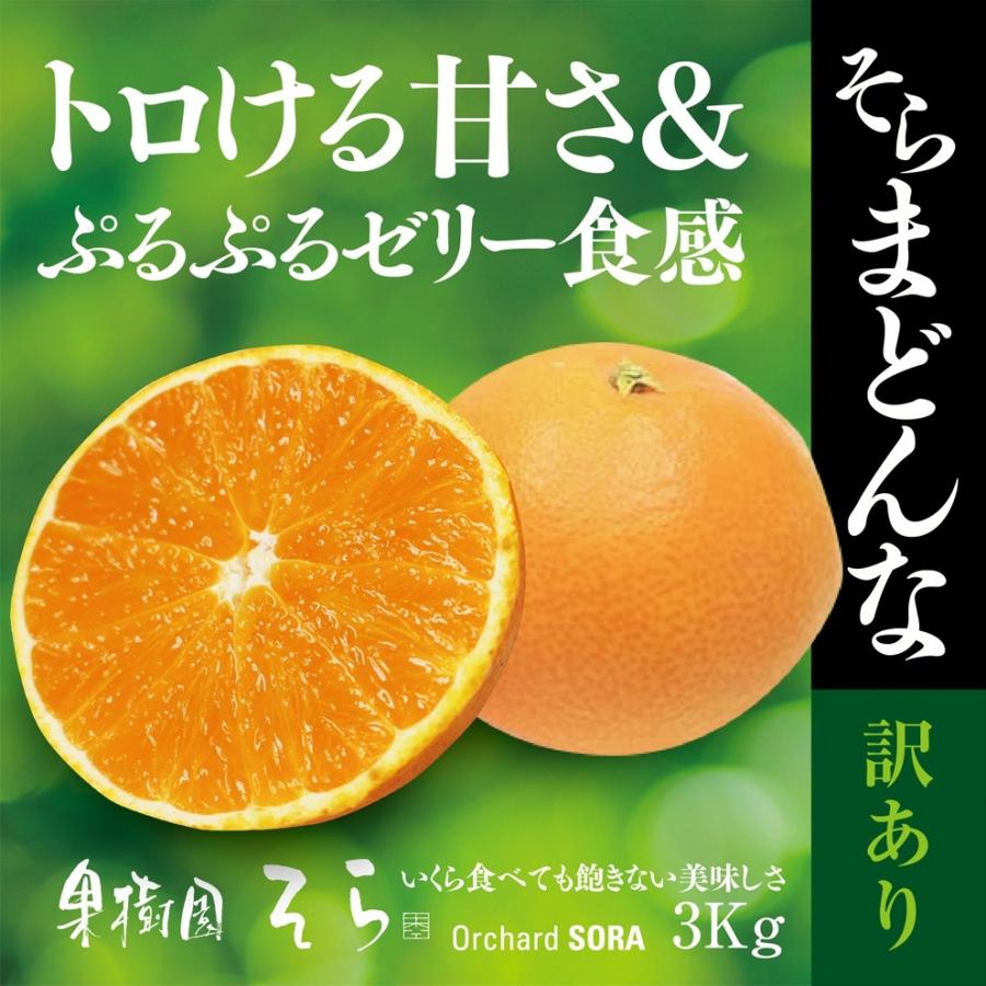 希望の島 中島まどんな 2kg サイズ込 中島産 愛媛 訳あり品 紅まどんなと同品種