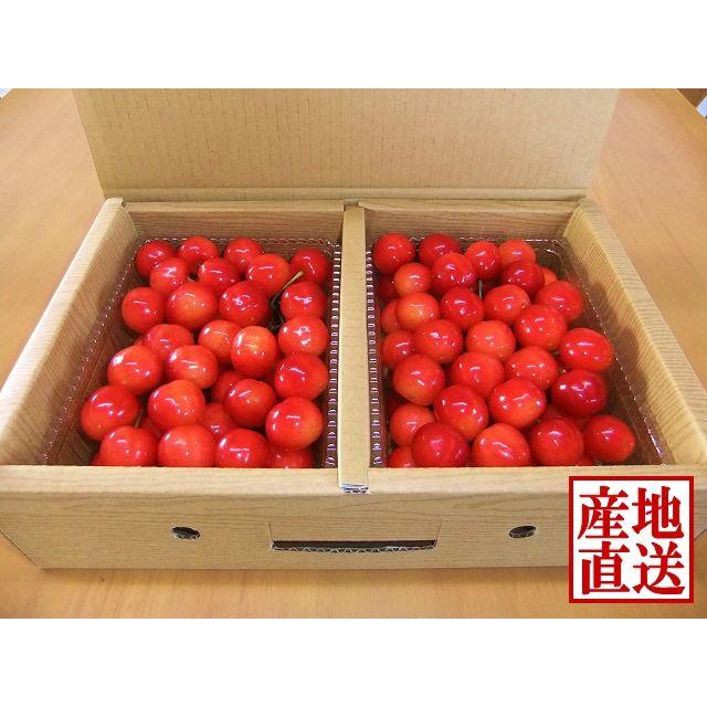 佐藤錦 1kg 果樹園直送 秀品 さくらんぼ さくらんぼ 佐藤錦 山形県産 1kg 秀品 Lサイズ 表面手詰 ギフト 大切な