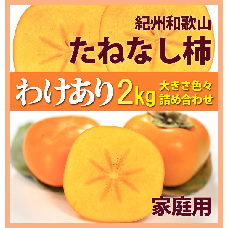 全国組立設置無料 柿 訳あり 和歌山 たねなし柿 2kg 8〜12個 ポイント消化