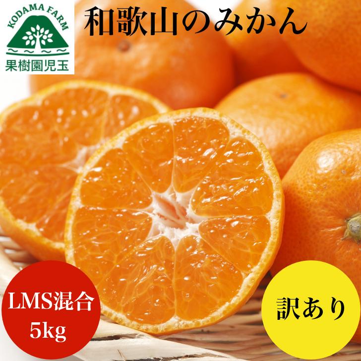 みかん 5kg 和歌山 ご自宅用 箱買い