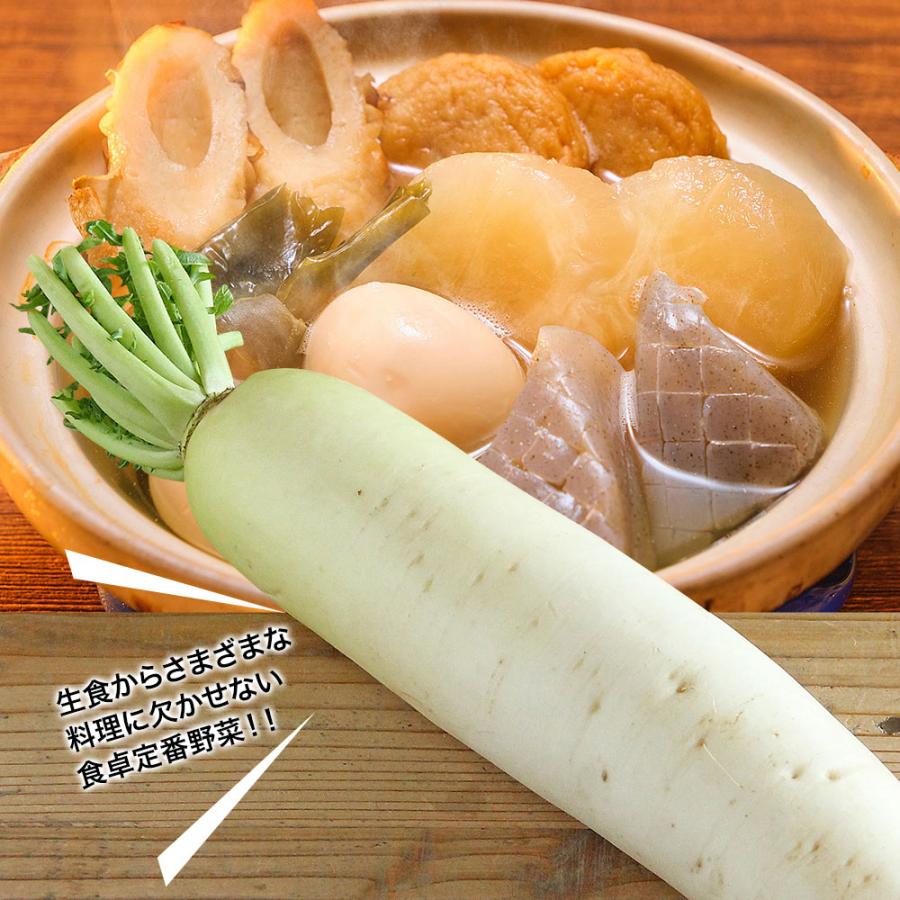 大根 1本 送料無料 だいこん 大根おろし サラダ おでん 煮物 豚汁