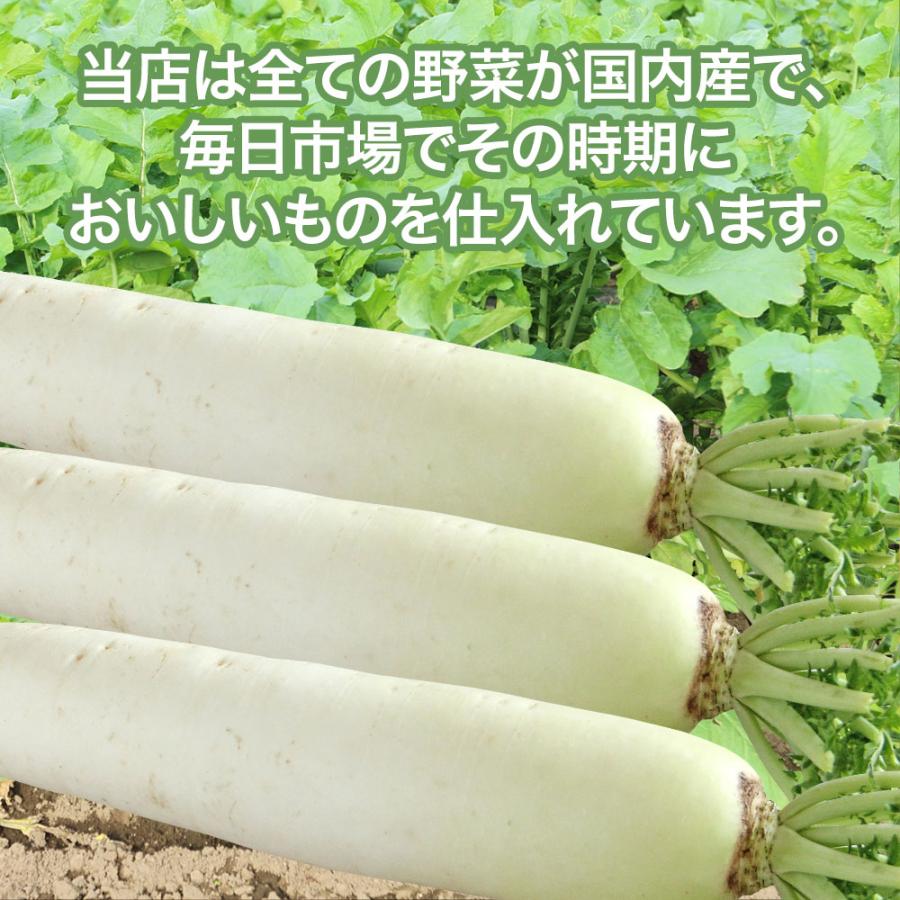 大根 ４本 送料無料 だいこん 大根おろし サラダ おでん 煮物 豚汁 切干大根 ぶり大根 定番 万能｜kakabit｜03