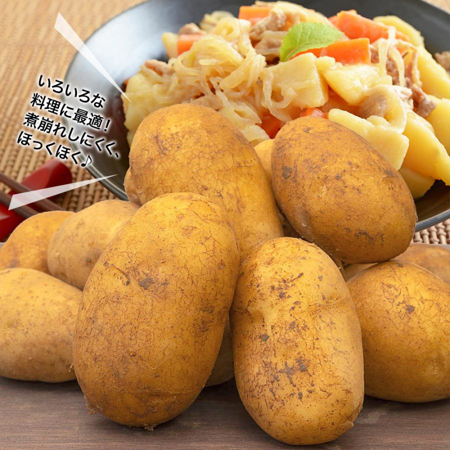新じゃがいも じゃがいも ばれいしょ 野菜 10kg メークイン じゃがいも ジャガイモ 送料無料 1kg ~ 10kg 新ジャガイモ 新