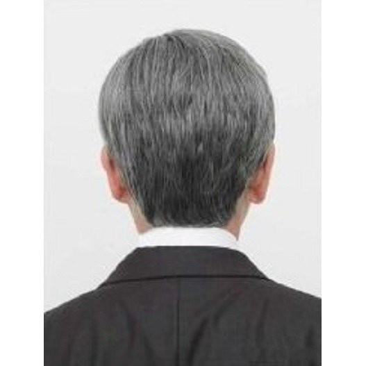 かつら メンズウイッグ 男性用 お年寄り用 老人 白髪 60 自然な白髪 コスプレ ウィッグネット Katura Kakabit 通販 Yahoo ショッピング