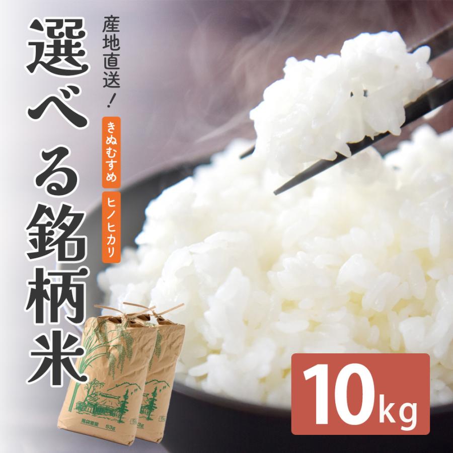 米 令和7年産 新米 精米 10kg 5kg×2 お米 兵庫県産 きぬむすめ