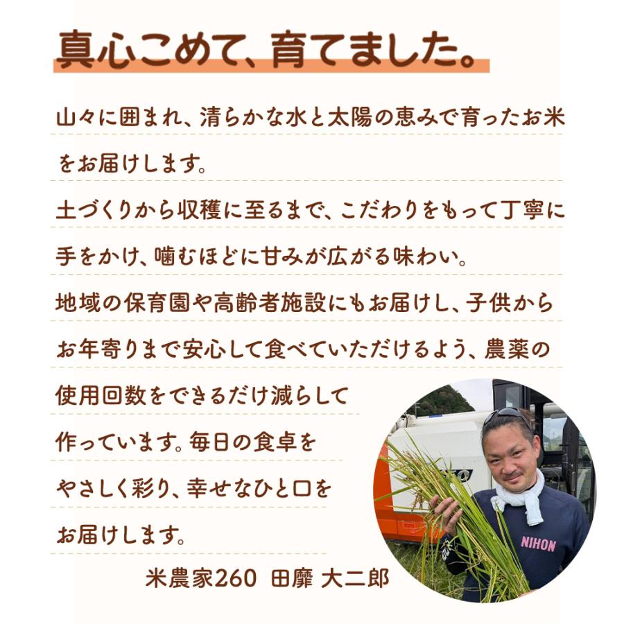 米 令和7年産 精米 10kg 5kg×2 お米 兵庫県産 きぬむすめ ヒノヒカリ 数量限定_2