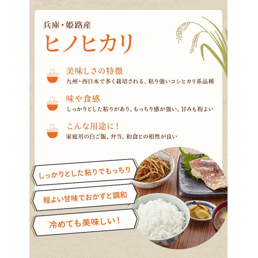 米 令和7年産 精米 10kg 5kg×2 お米 兵庫県産 きぬむすめ ヒノヒカリ 数量限定_4