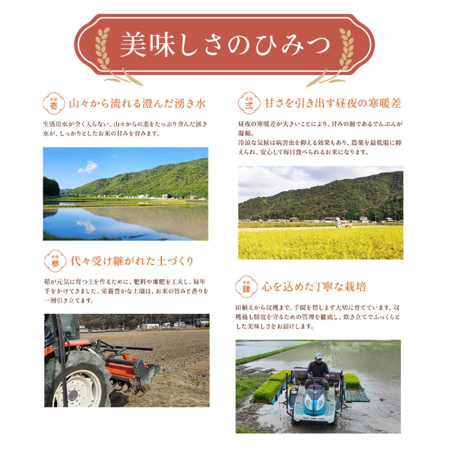 米 令和7年産 精米 10kg 5kg×2 お米 兵庫県産 きぬむすめ ヒノヒカリ 数量限定_5