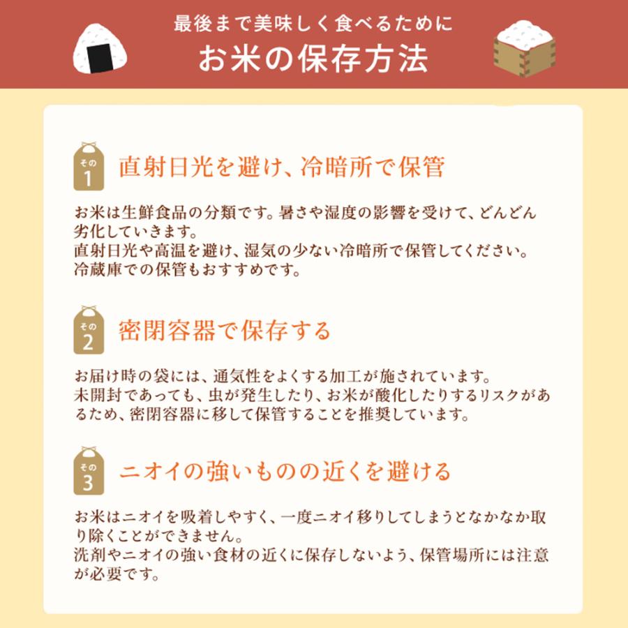 米 令和7年産 精米 10kg 5kg×2 お米 兵庫県産 きぬむすめ ヒノヒカリ 数量限定_7