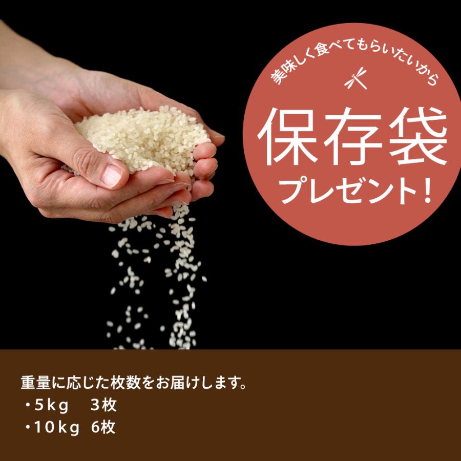 米 令和7年産 新米 精米 10kg 5kg×2 お米 兵庫県産 きぬむすめ