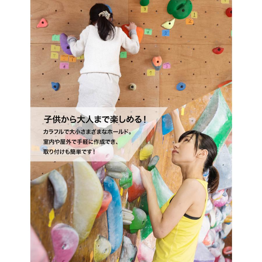 不飽和ポリエステル樹脂製 クライミングホールドセット グレー （木壁  