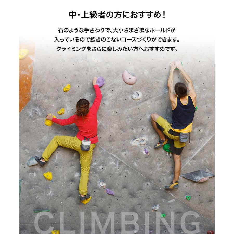 不飽和ポリエステル樹脂製 クライミングホールドセット ホワイト （木