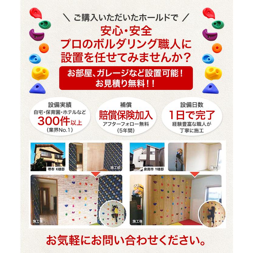 ボルダリング　用品一式　ボルダリング ホールド クライミング トレーニング HOLDREAM クライミング ホールド 30個 ミックスカラー プロ仕様