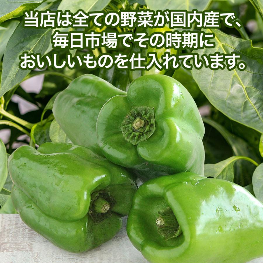 送料無料 訳あり ピーマン 500ｇ ピーマン 500g 送料無料 定番 万能 野菜 緑黄色 ぴーまん ピーマン肉