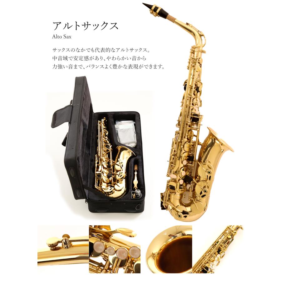 アルトサックス 初心者セット 入門セット サックス gold 初心者